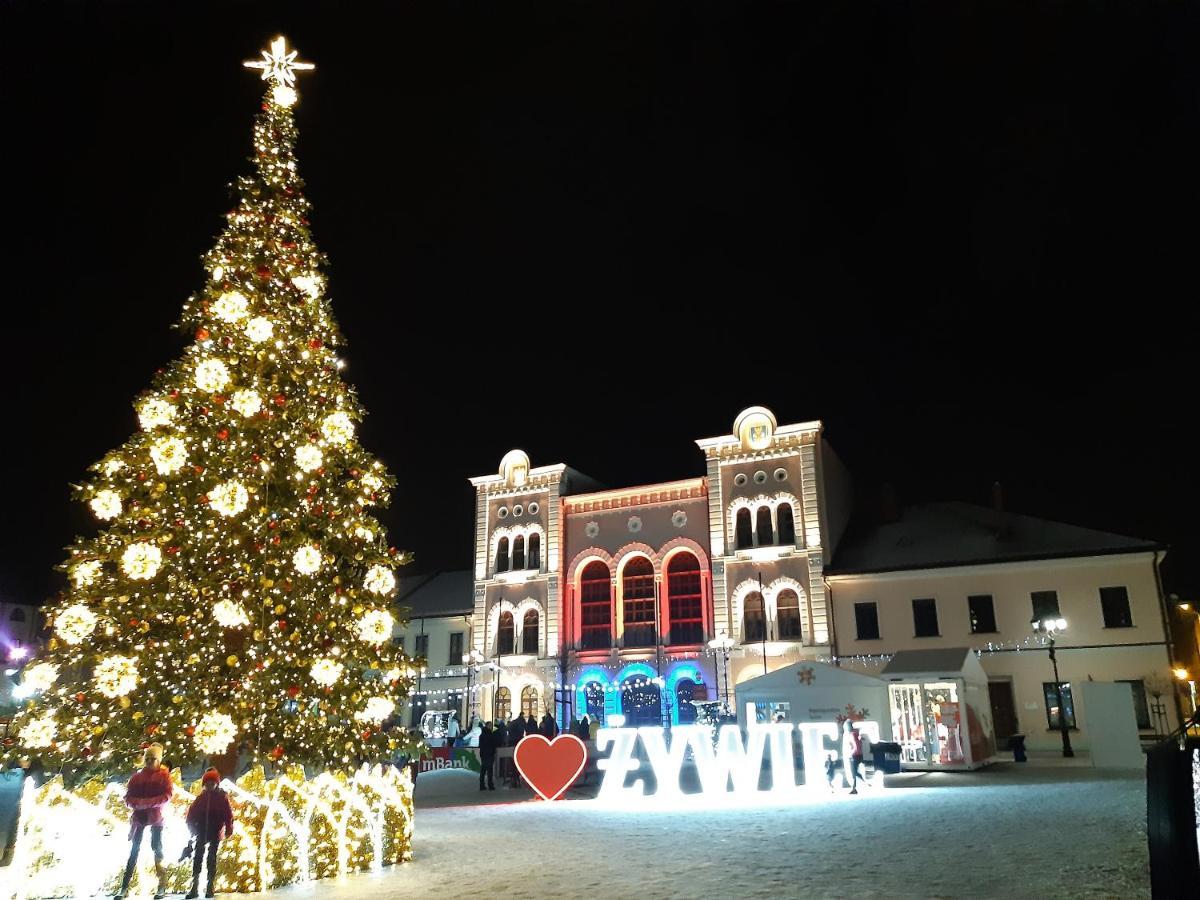 Żywiec O.W. Lazur Nad Jeziorem מראה חיצוני תמונה